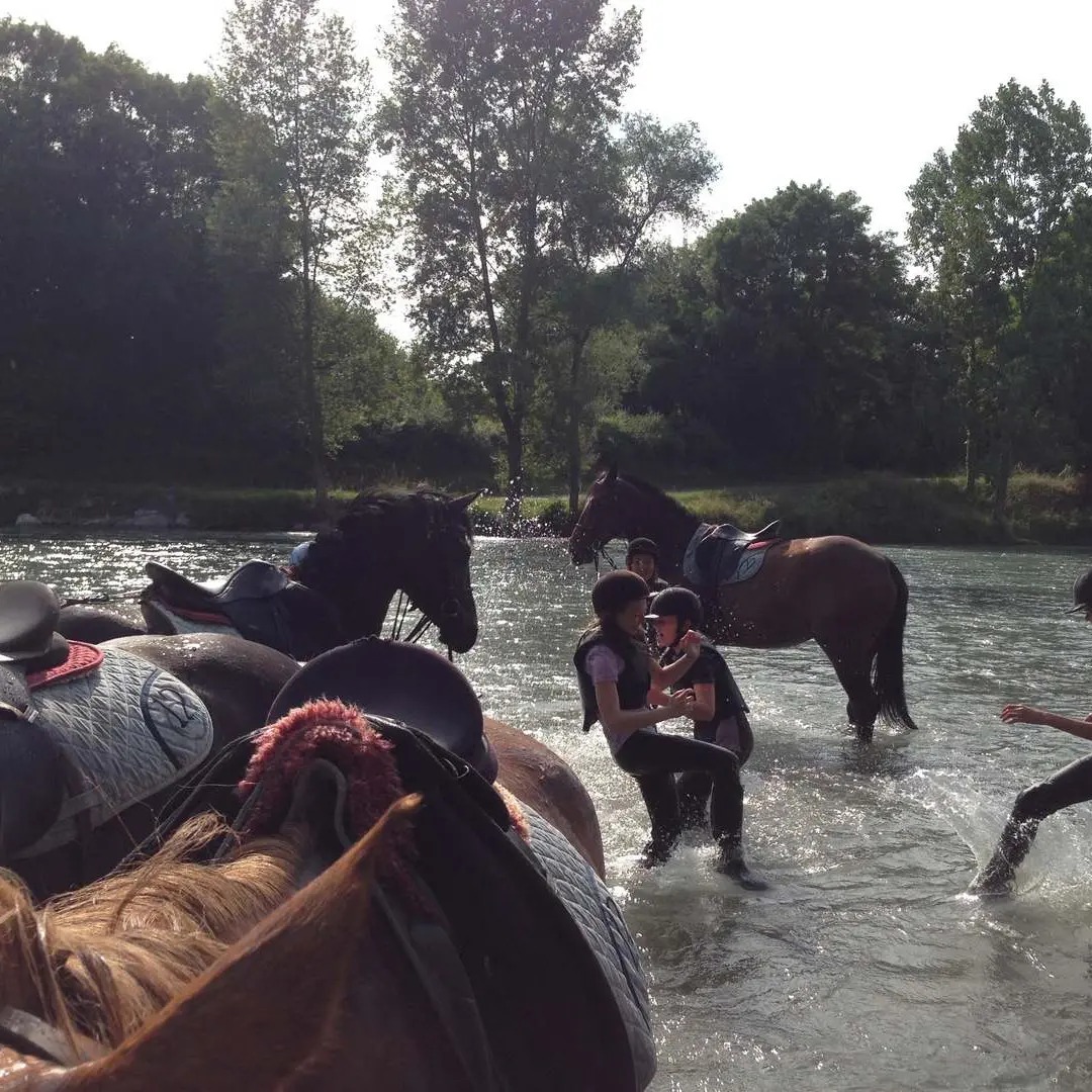 Cheval Détente - Laroin - jeux dans le gave