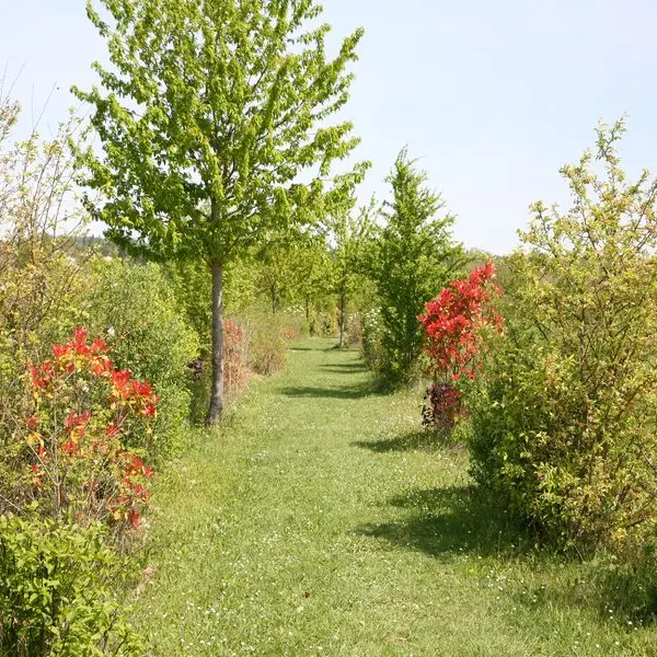 Parc de Loisirs de Pombonne