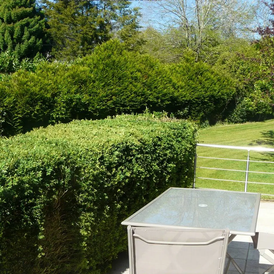 Feyte - bosdarros - terrasse