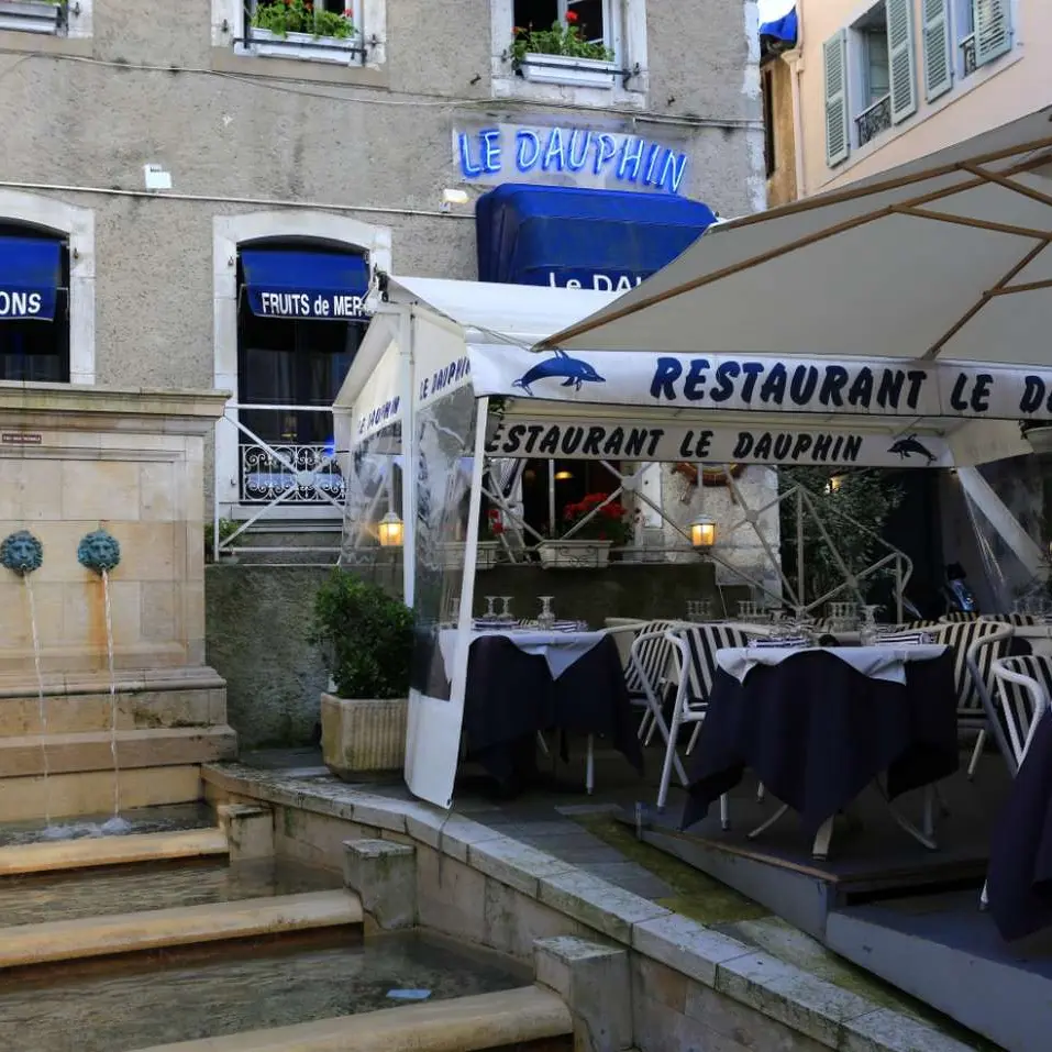 Restaurant Le Dauphin - Pau - terrasse