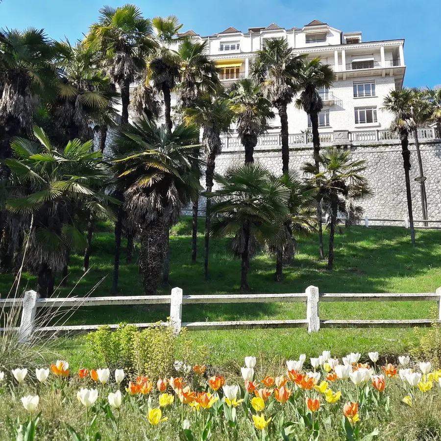 Jardins Joantho - Pau - Palmeraie 2