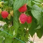 les_gourmandines_3