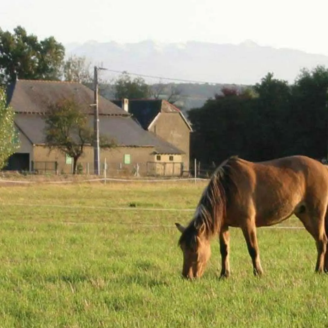 Lo Casau - Artigueloutan - Pré