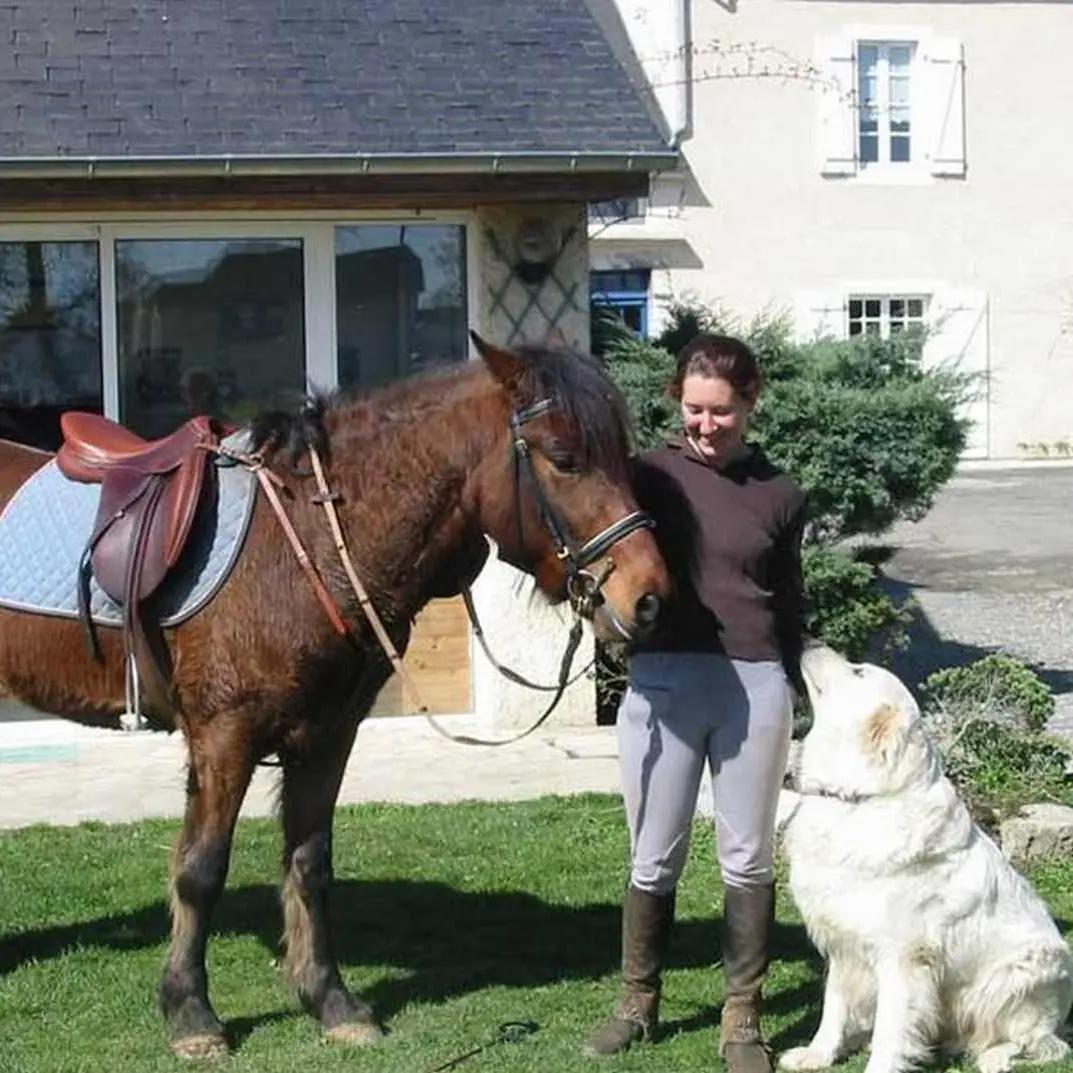 Lo Casau - Artigueloutan - Cheval et chien