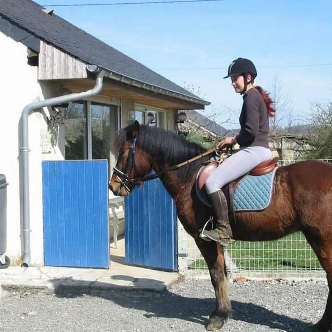 Lo Casau - Artigueloutan - Cheval