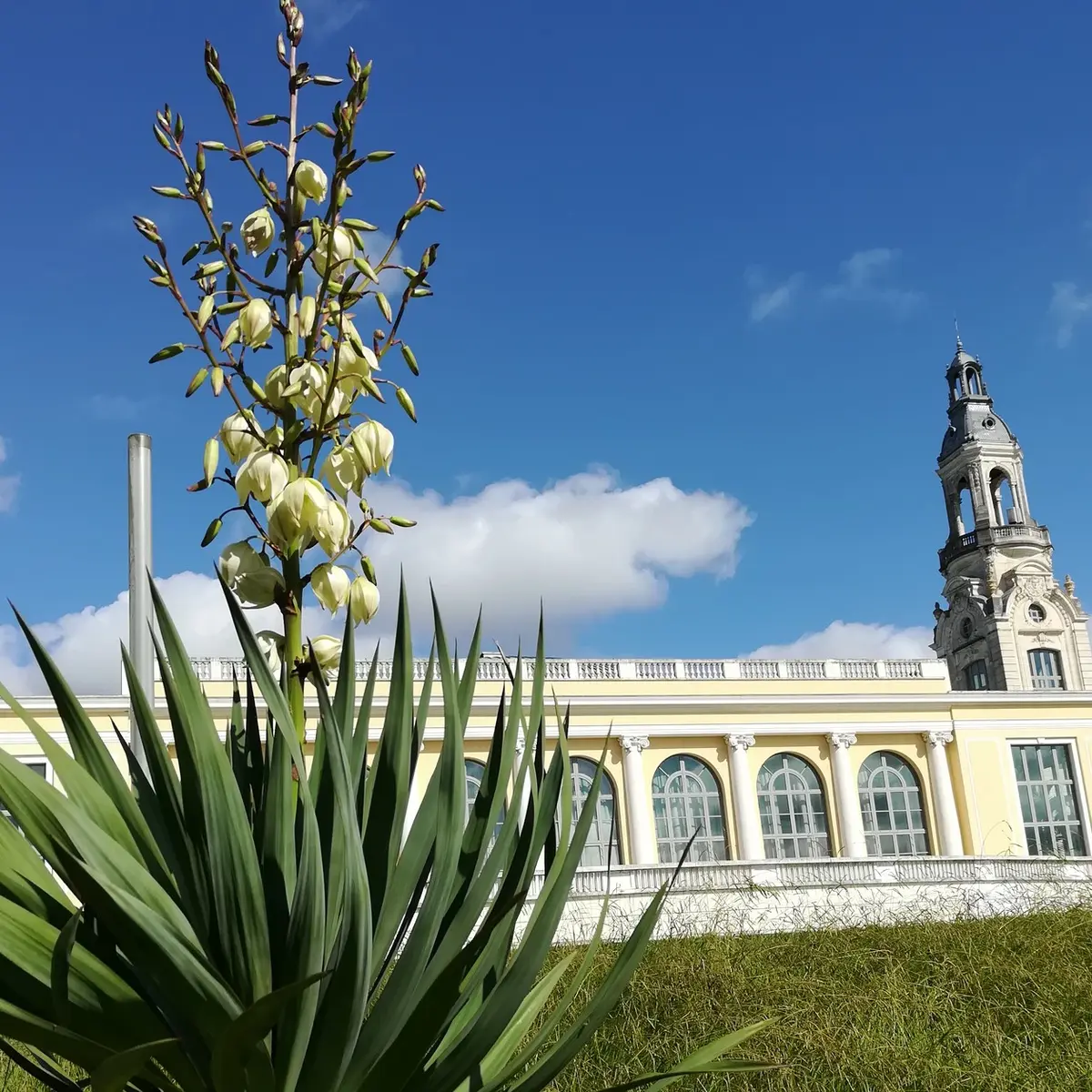 Parc Beaumont - Pau - le Palais beaumont