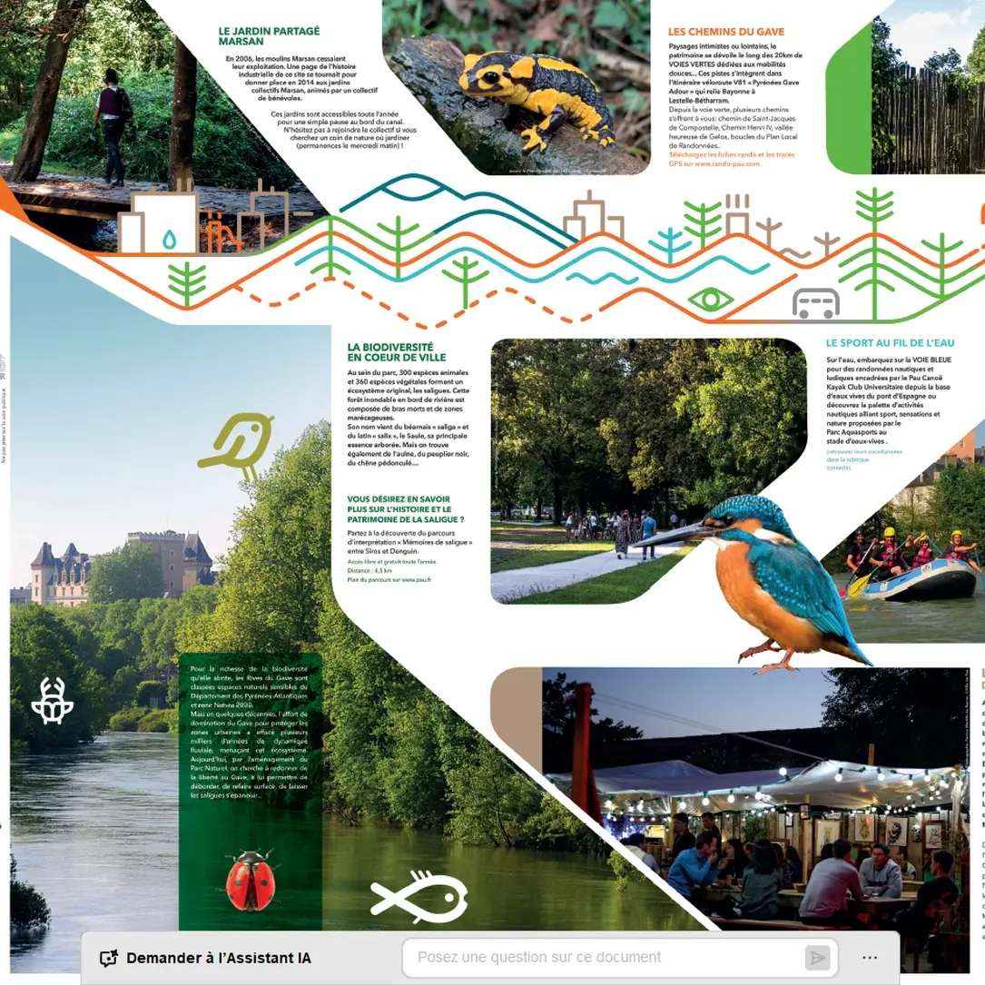 les rives du gave - Pau - le plan