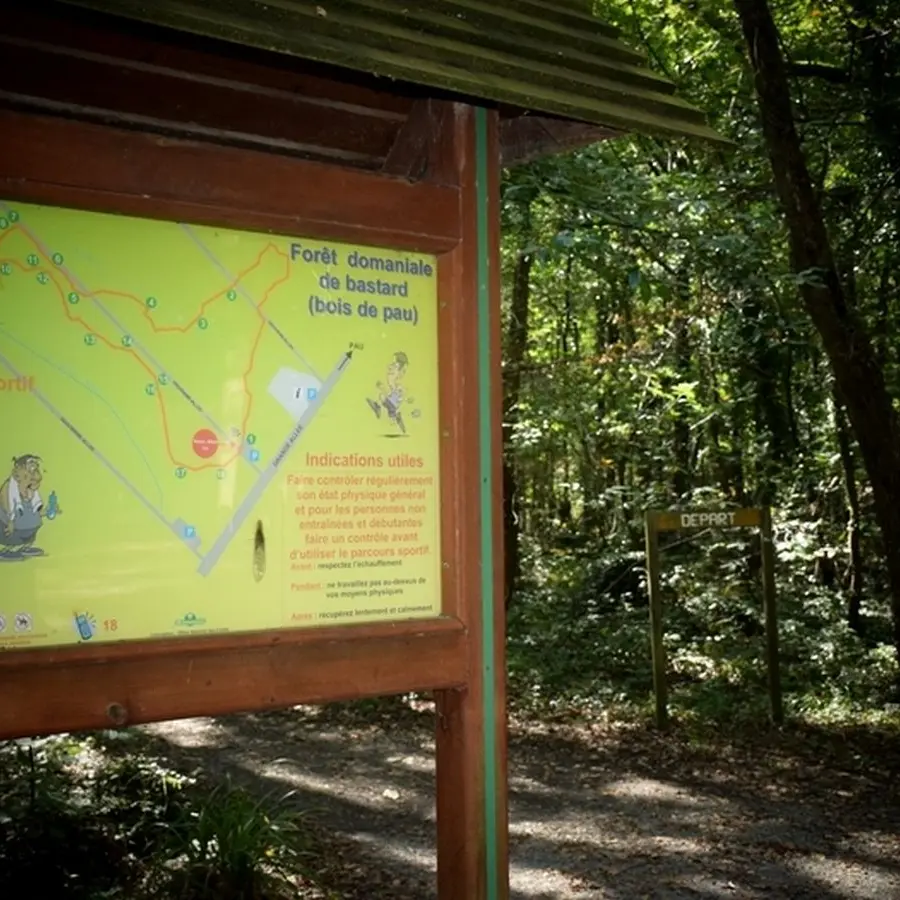Forêt domaniale de Bastard - Pau - Panneau parcours sportif