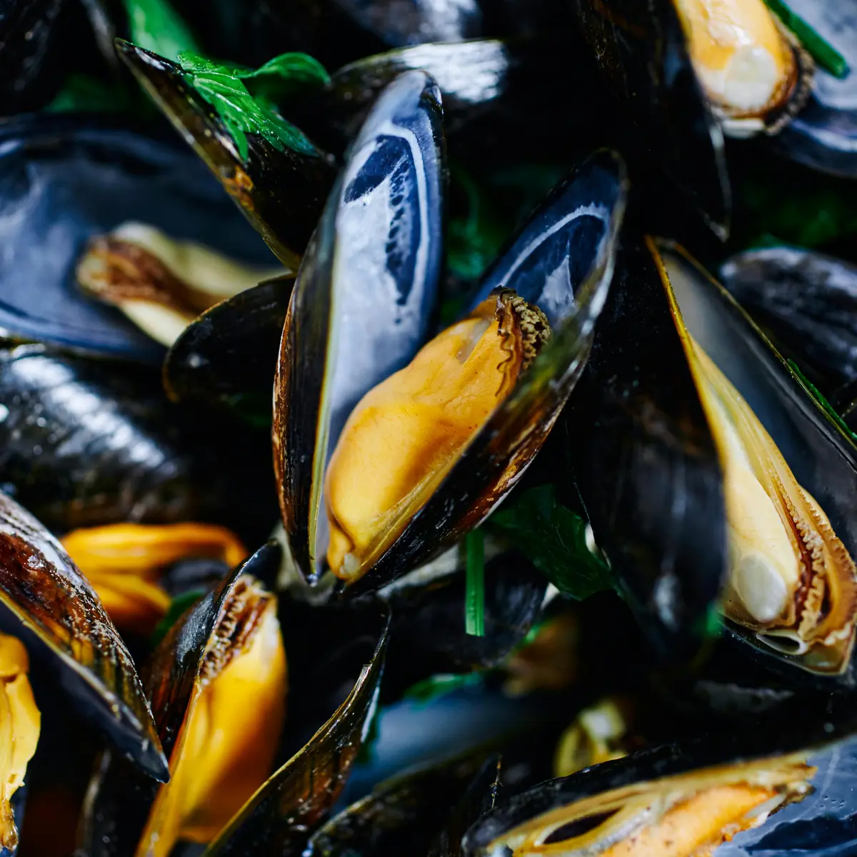 pexels-electra-studio-32883186-30648986