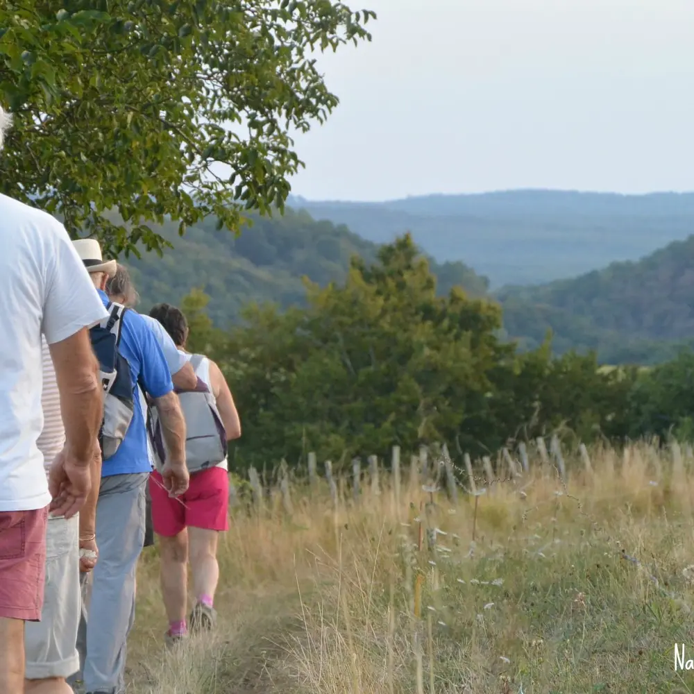 rando-gandumas-signee