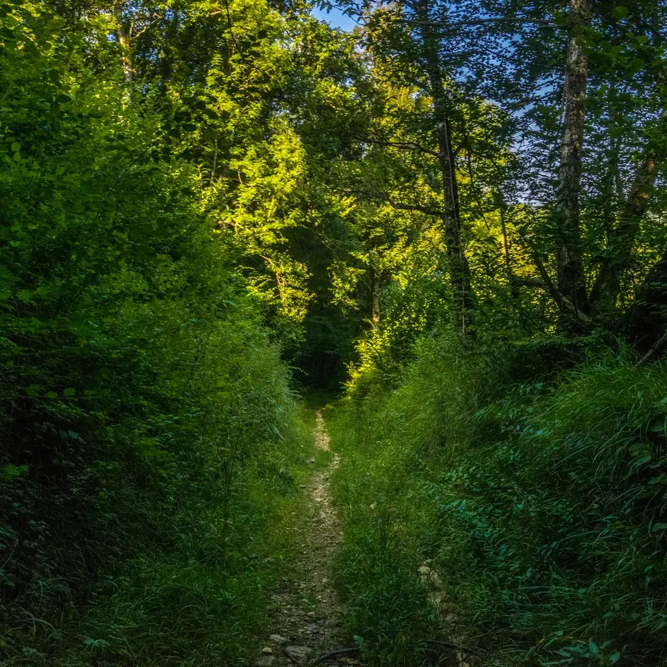 rando-pau-aubertin-de-la-helere-a-la-baise-03