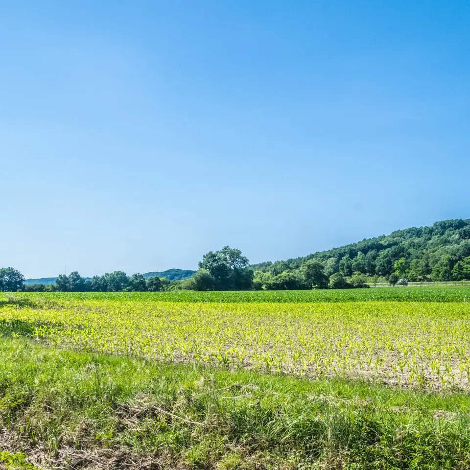 rando-pau-aussevielle-ligne-vielle-05