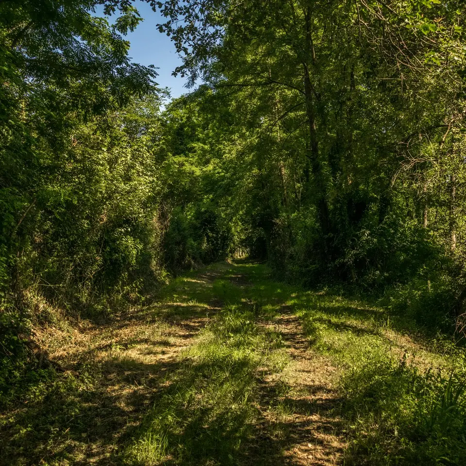 rando-pau-aussevielle-ligne-vielle-01