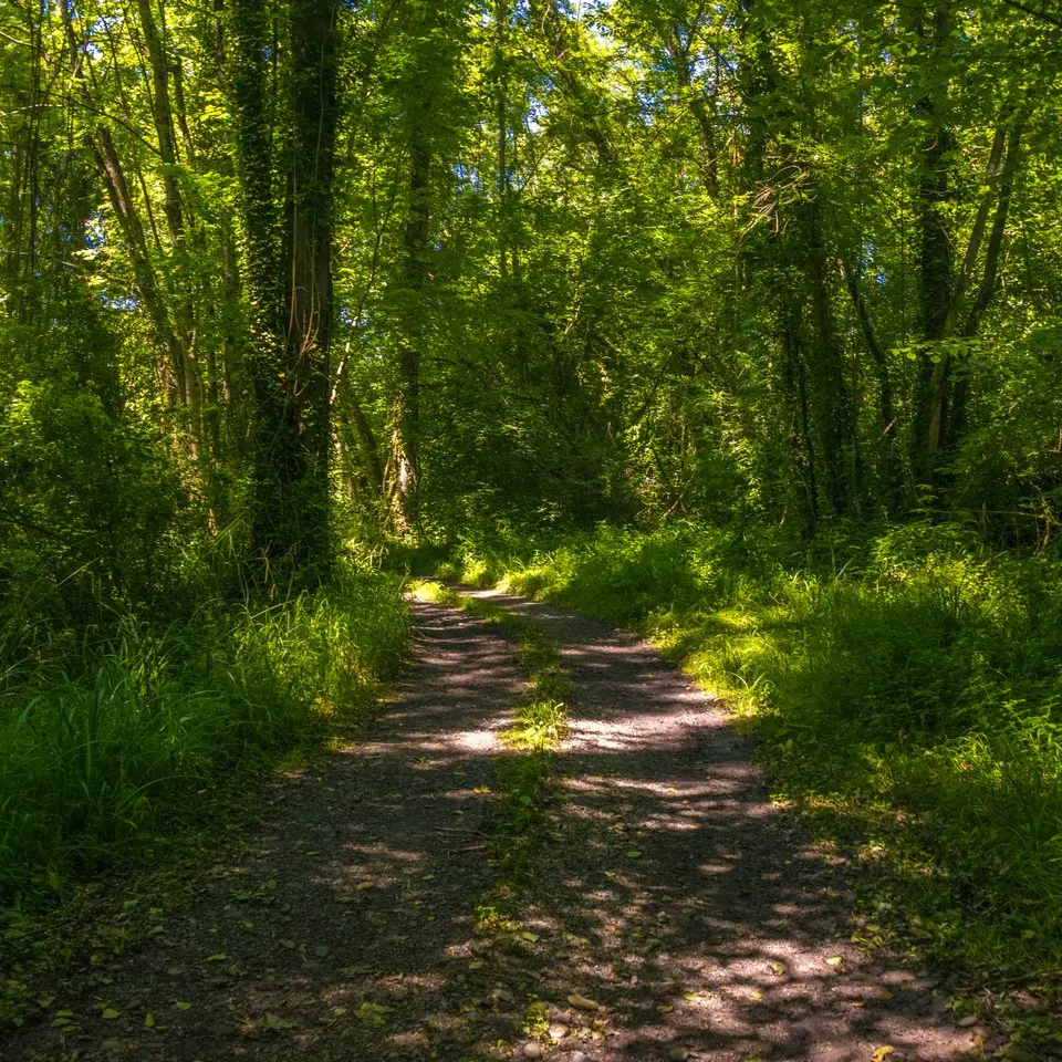 rando-pau-siros-memoire-saligue-05