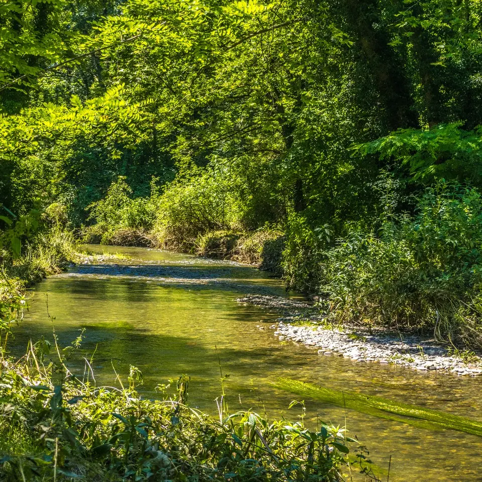 rando-pau-siros-memoire-saligue-07