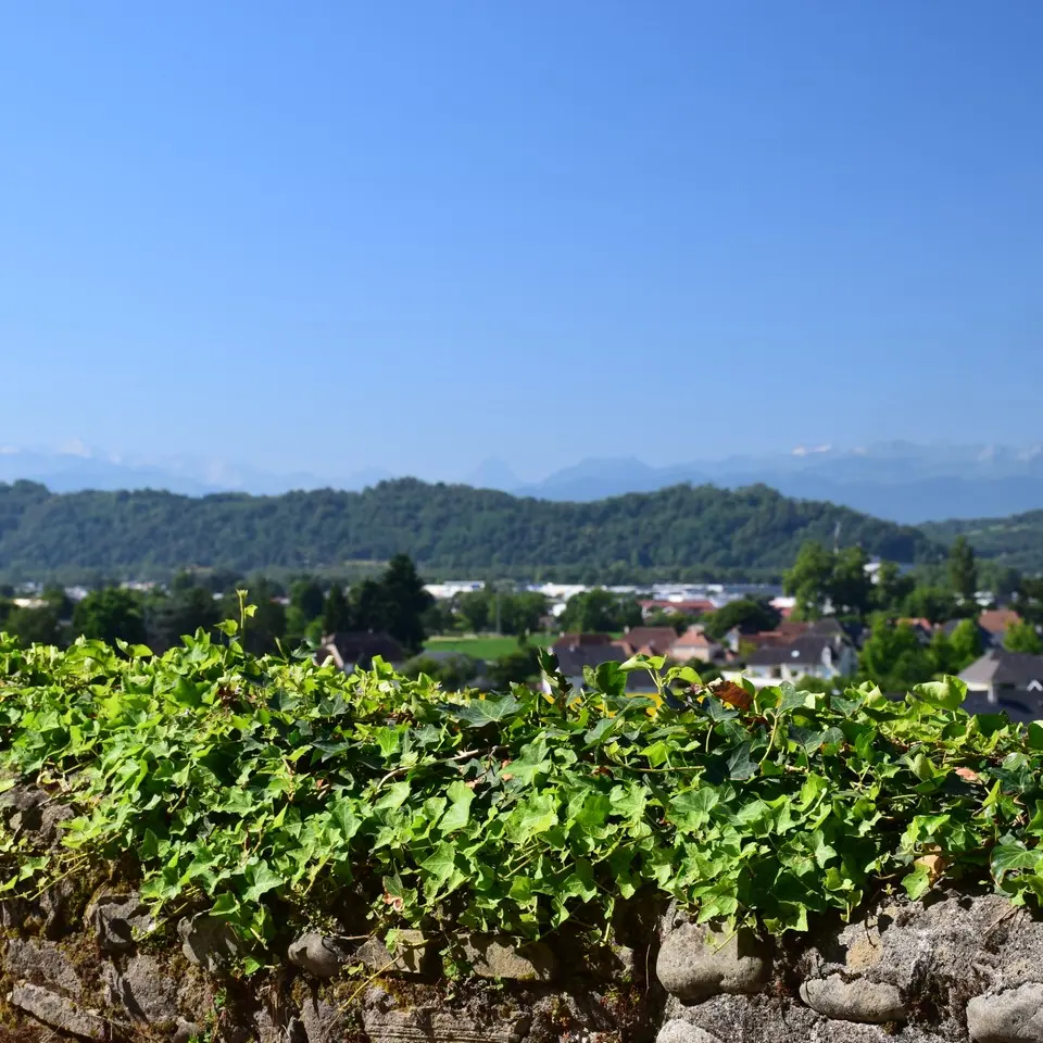 Lescar - Vue depuis les remparts