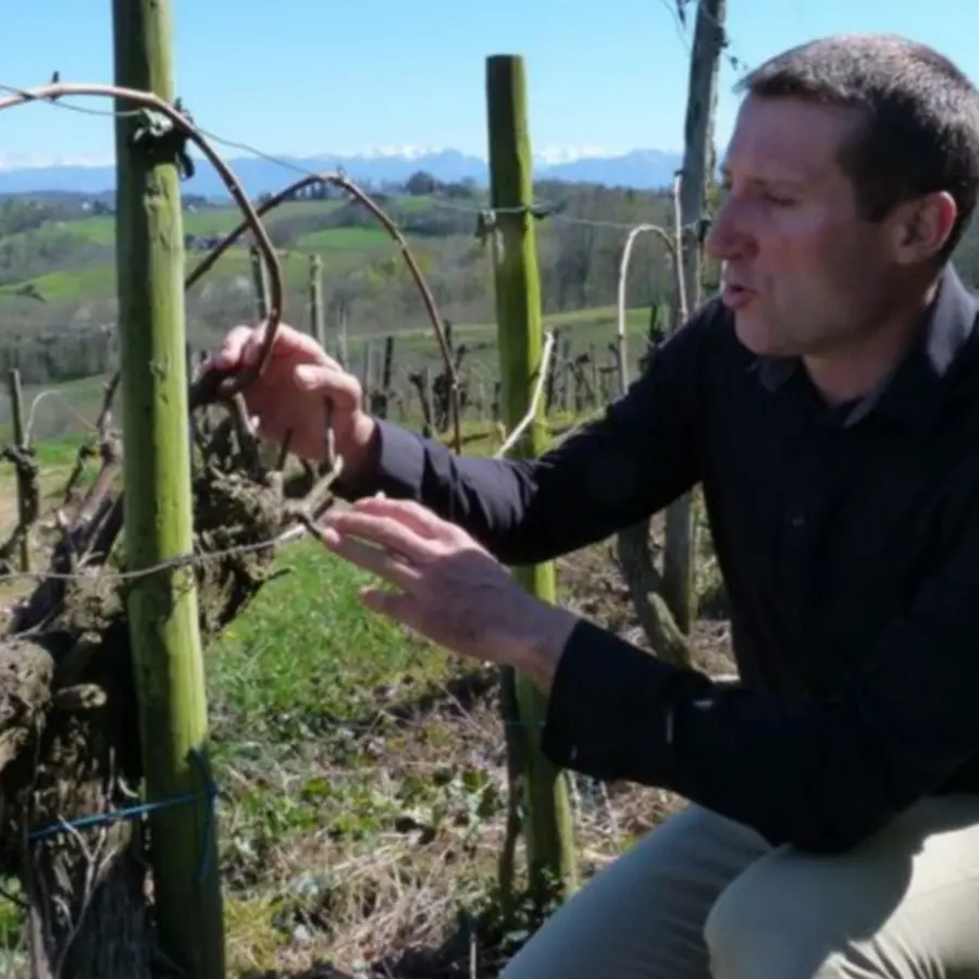 château de Rousse - Chapelle de Rousse - dans les vignes