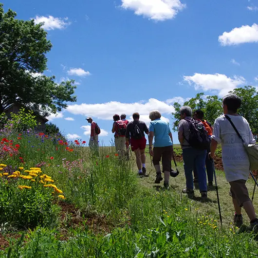 st-avit-senieur-rando-adt