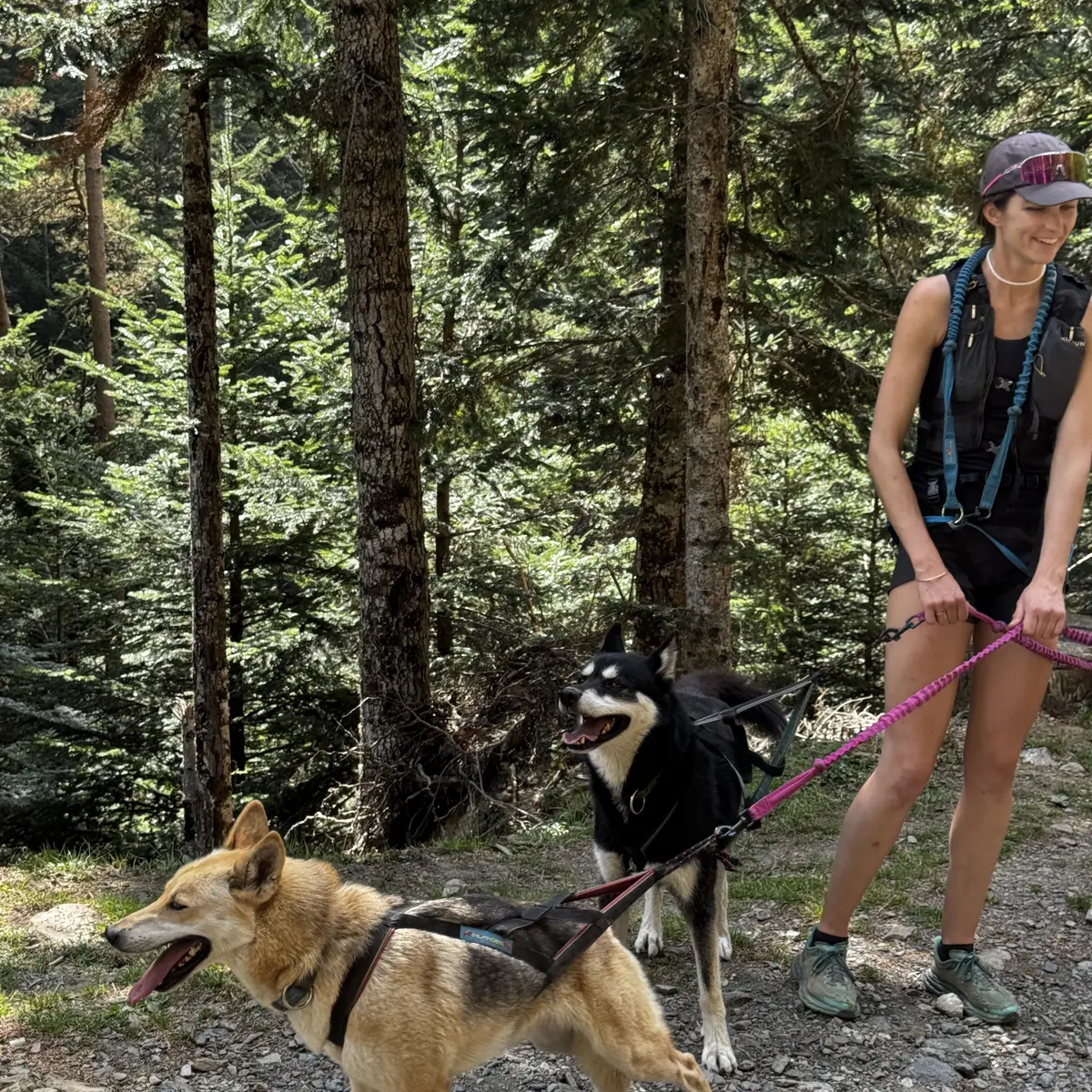 ©cperisse- cani-rando la fille aux loups (35)
