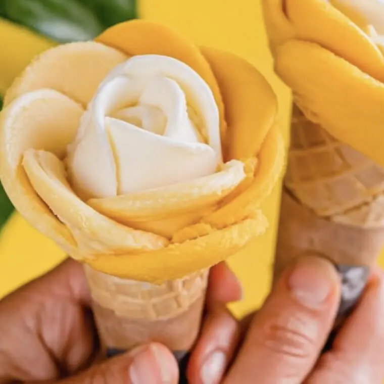 Amorino glaces ©Amorino