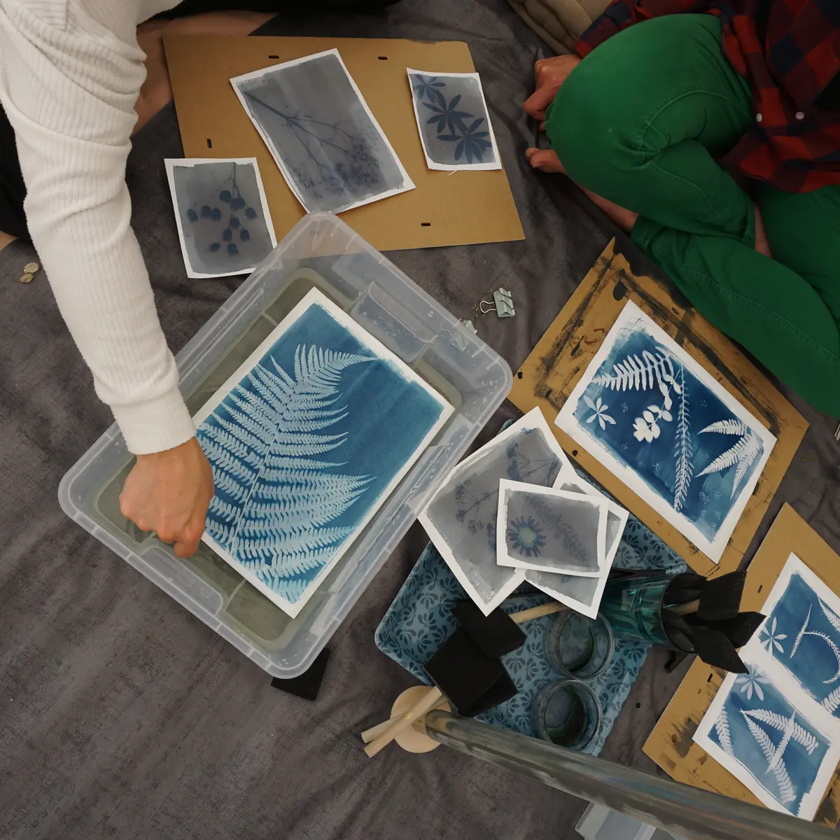 Atelier Cyanotype Camille R