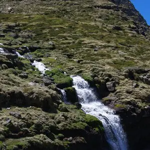 CASCADE CATCHET