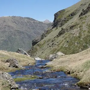 CASCADE CATCHET