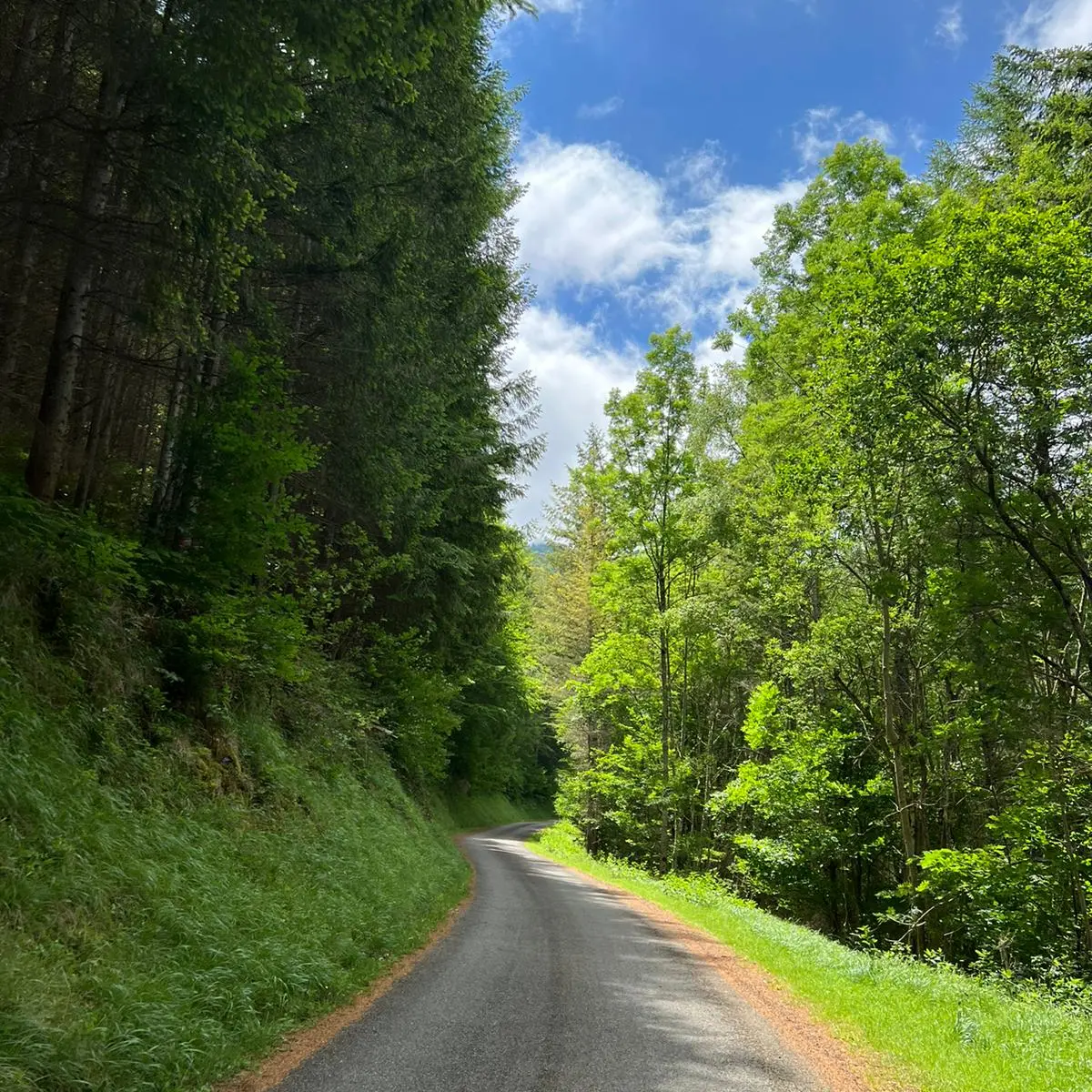 Col de Beyrède-WA0010