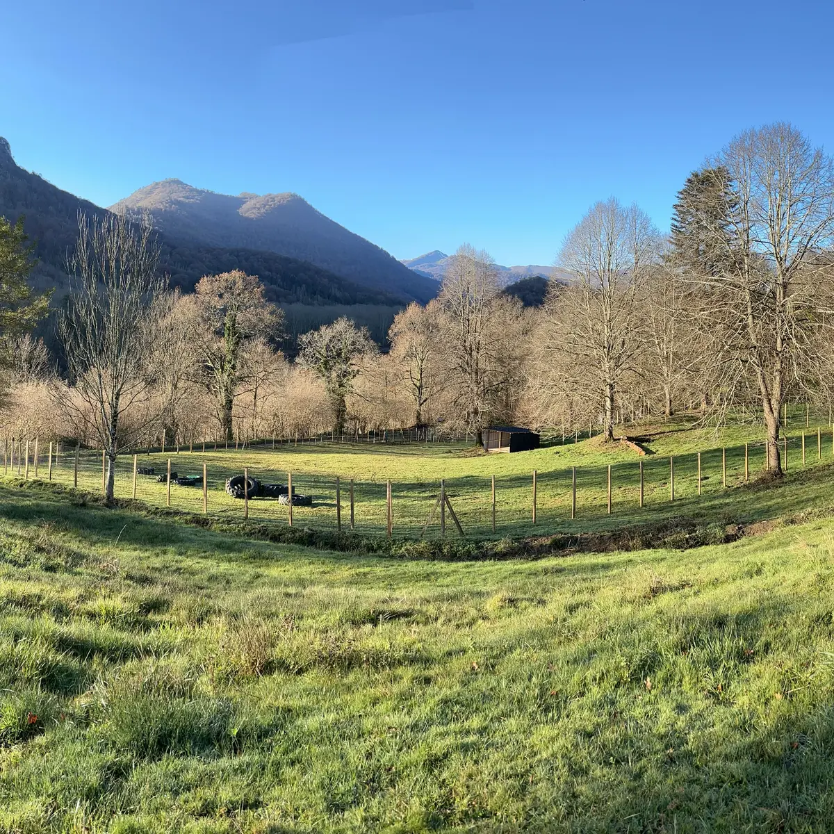 Lourdes Caniprairie 3