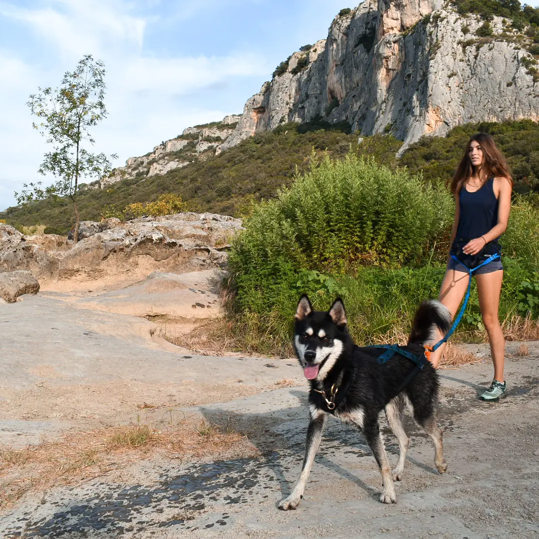 La fille aux loups (3)