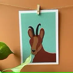 Les Z amix Camille R - jpg