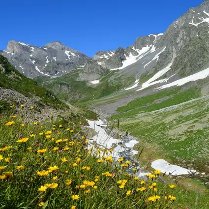 Vallee Badet Printemps