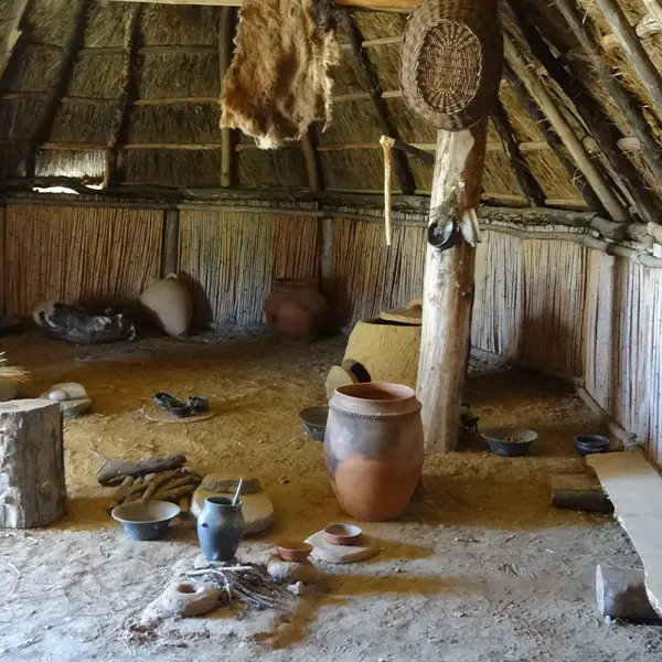 Ruscino - Habitation intérieur