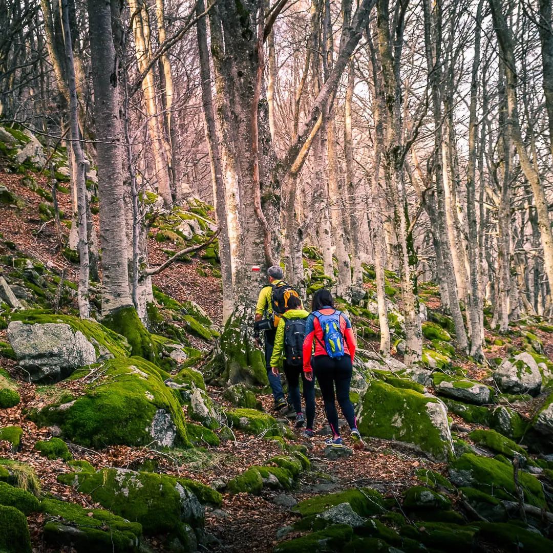 Montalba Roc de France