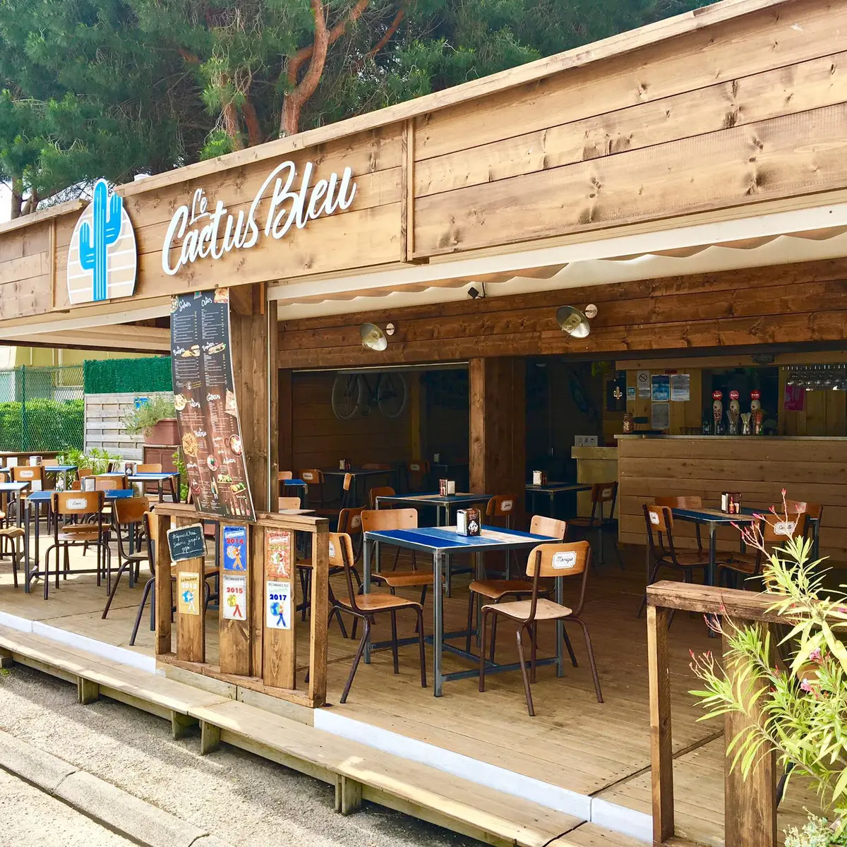 LE CACTUS BLEU