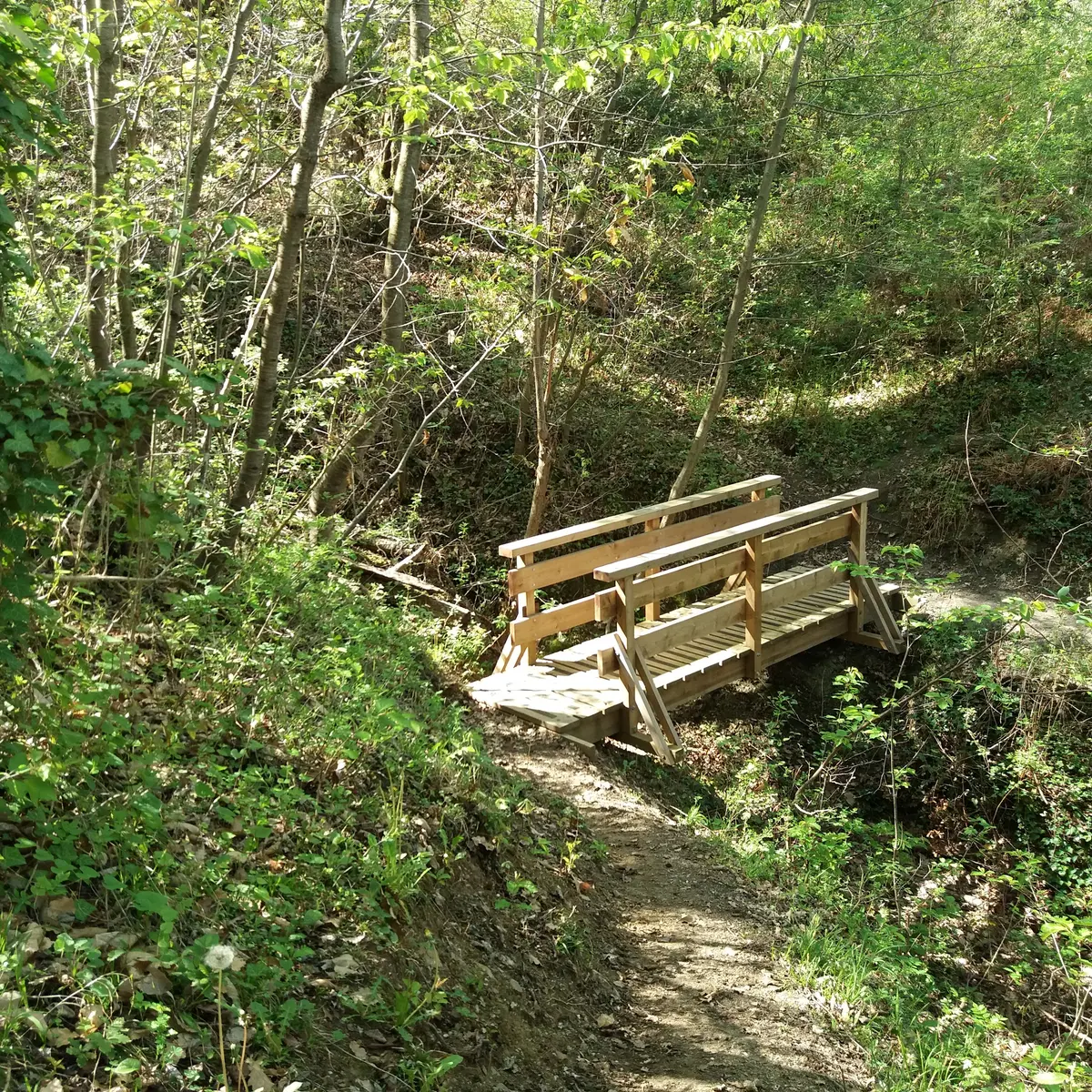 Pont de bois
