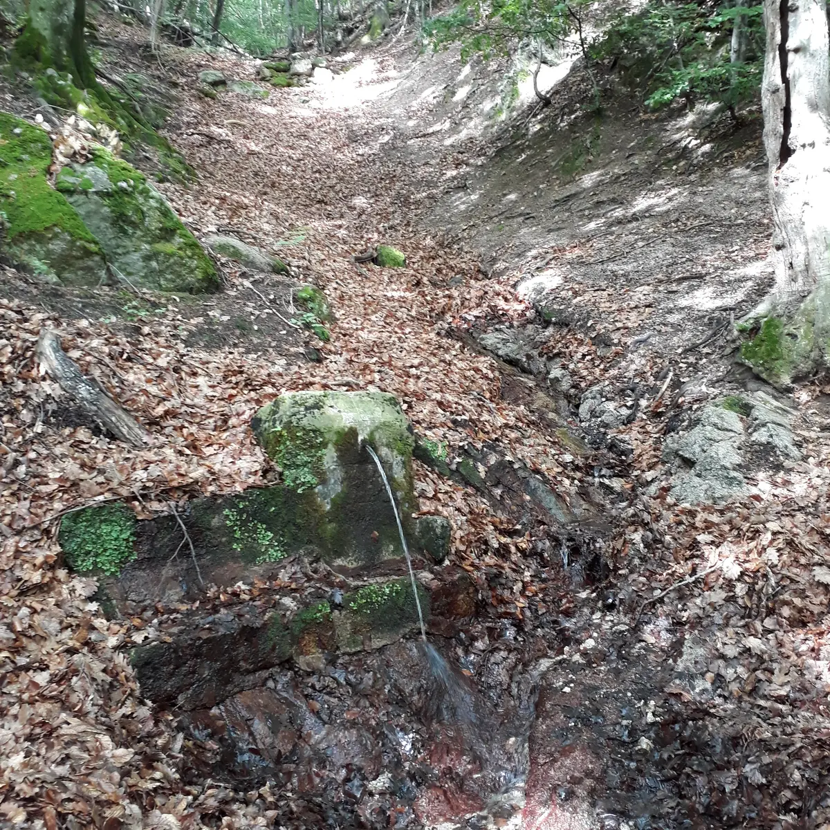 Saint-Laurent-de-Cerdans