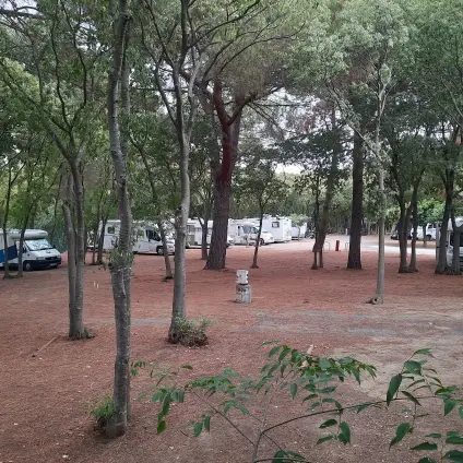 Laroque des Albères