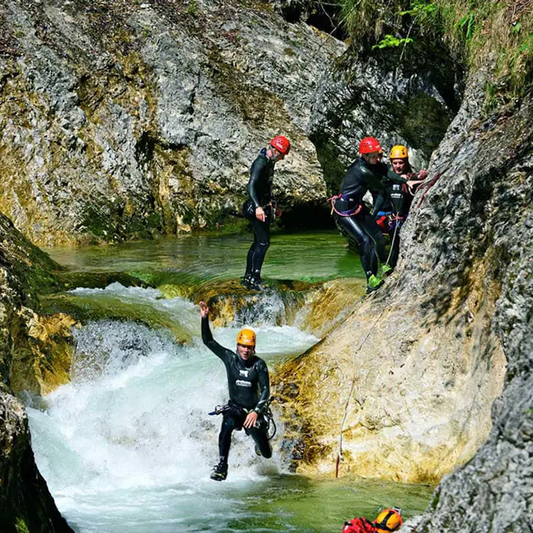 TORREILLES LOI THE SHOP