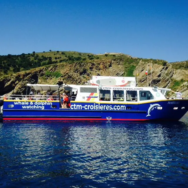 36750179_2003578786339946_8160620686272888832_n