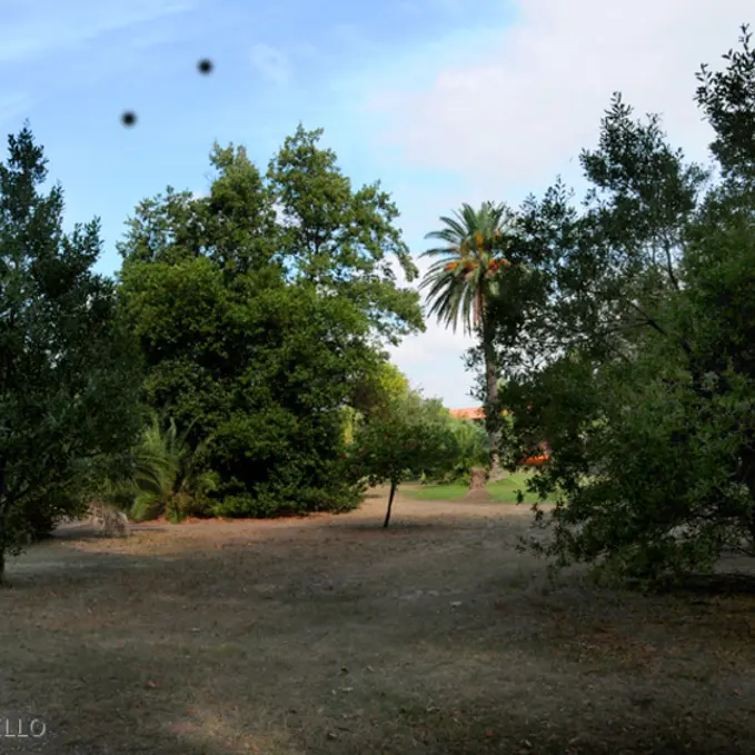 toulouges_parc_clairfont_2