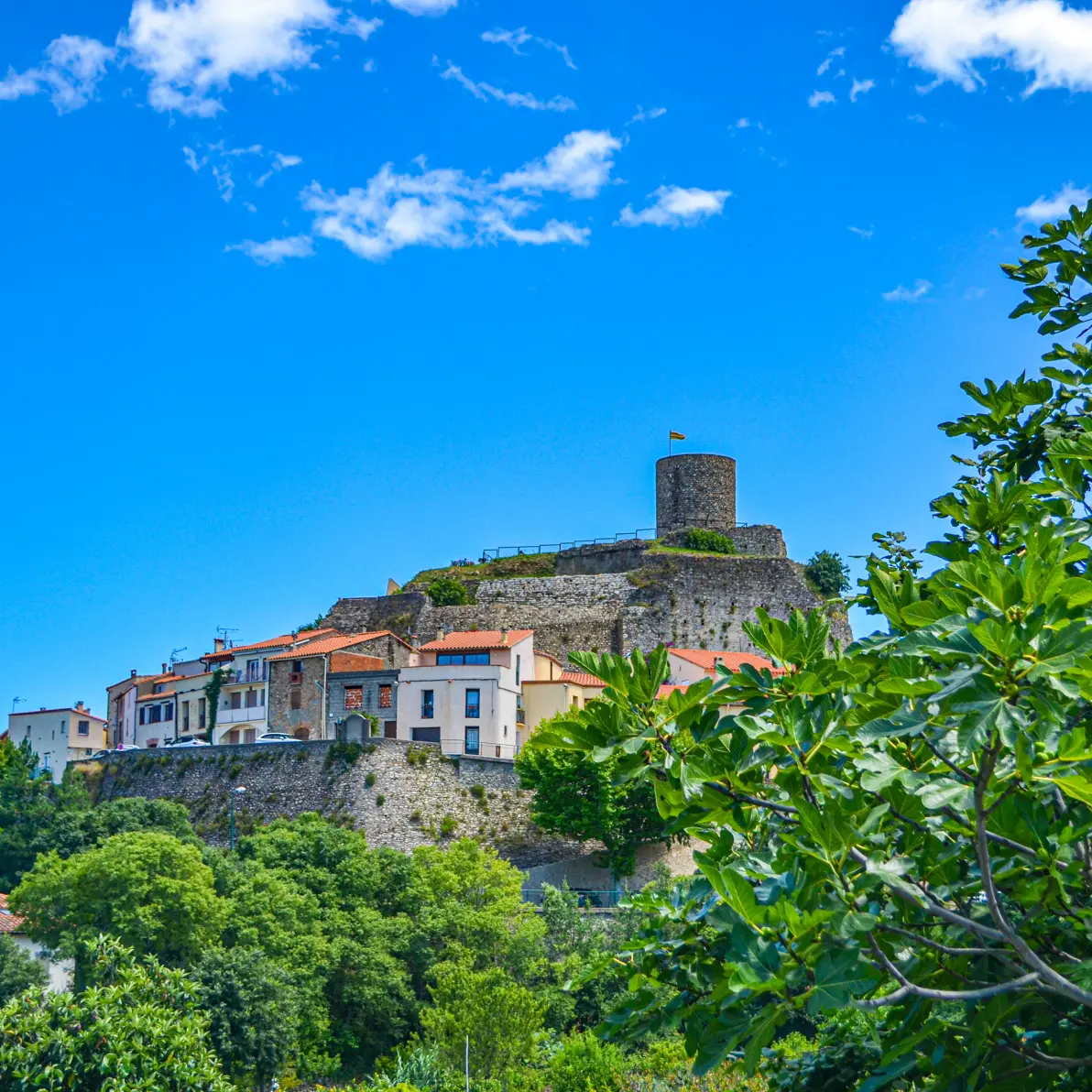 tour Laroque_des_Alberes-Candice_Genard-2751-1800px