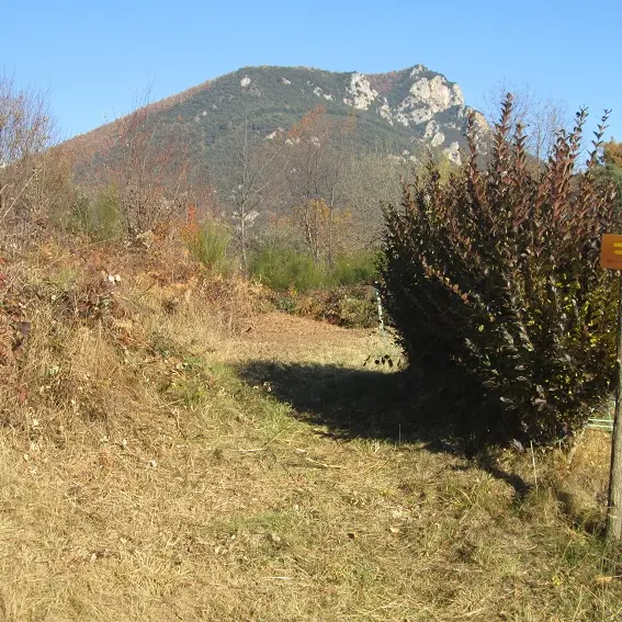 Torre de Cos depuis la Collada d'en Benet_4