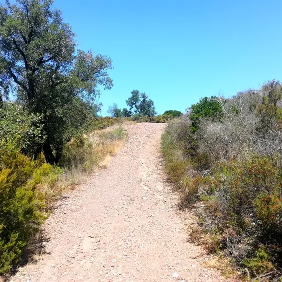 En chemin vers Llauro_3