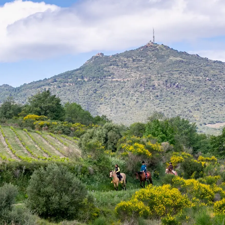 vue-antenne-forca-real-equitet-rando-corneilla-la-riviere-web