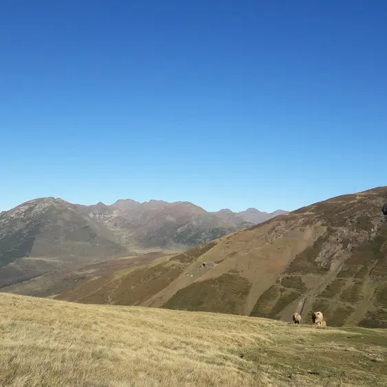 Vue sur la vallée d'En Garcia et sur le Carlit_3