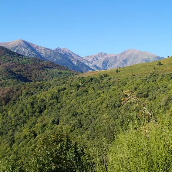 Vue sur le Coll Palomeres_1