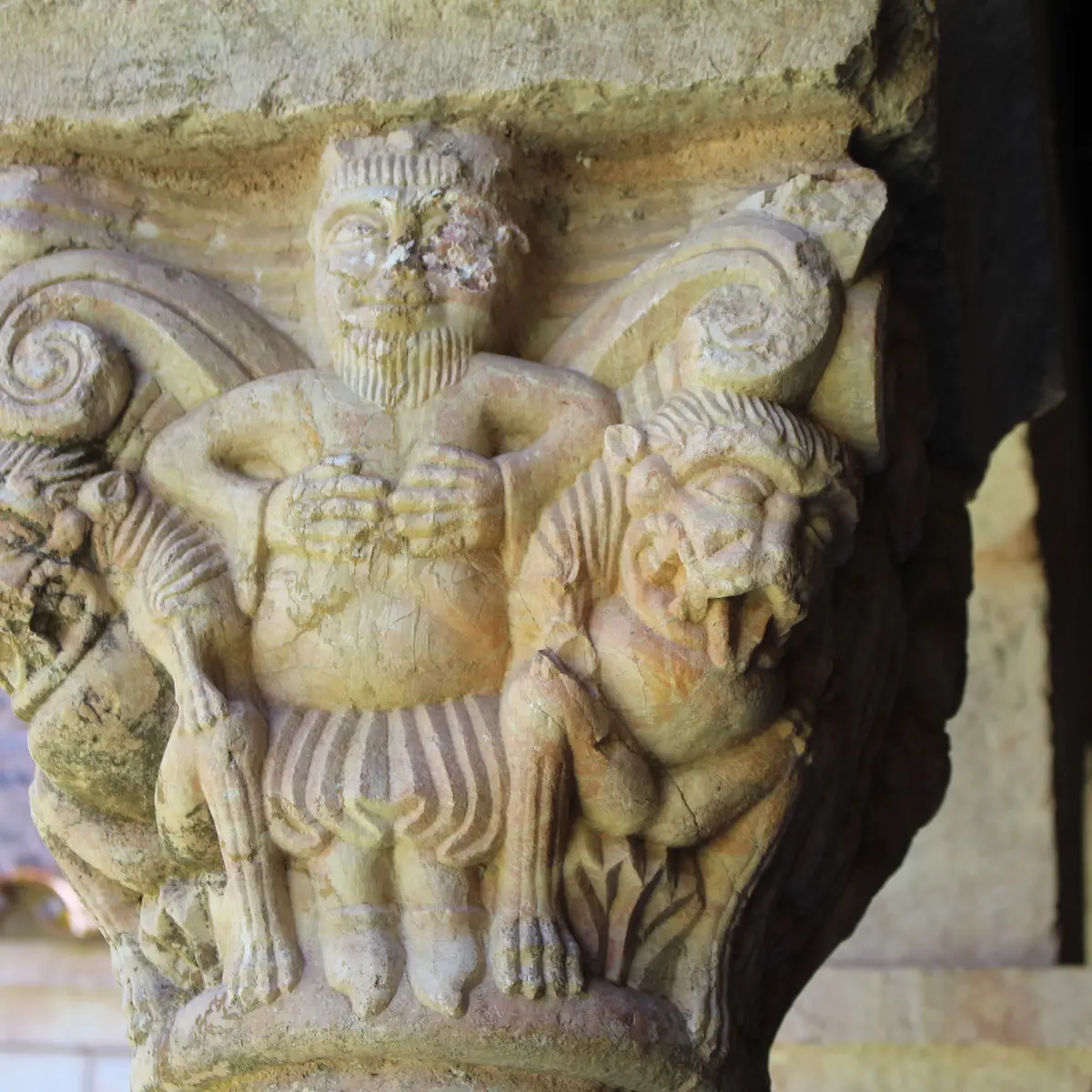 ABBAYE-SAINT-MICHEL-DE-CUXA--CONFLENTCANIGO--28-