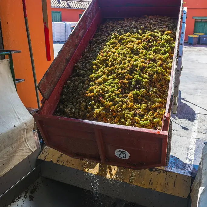 Vendanges Châetau de Péna