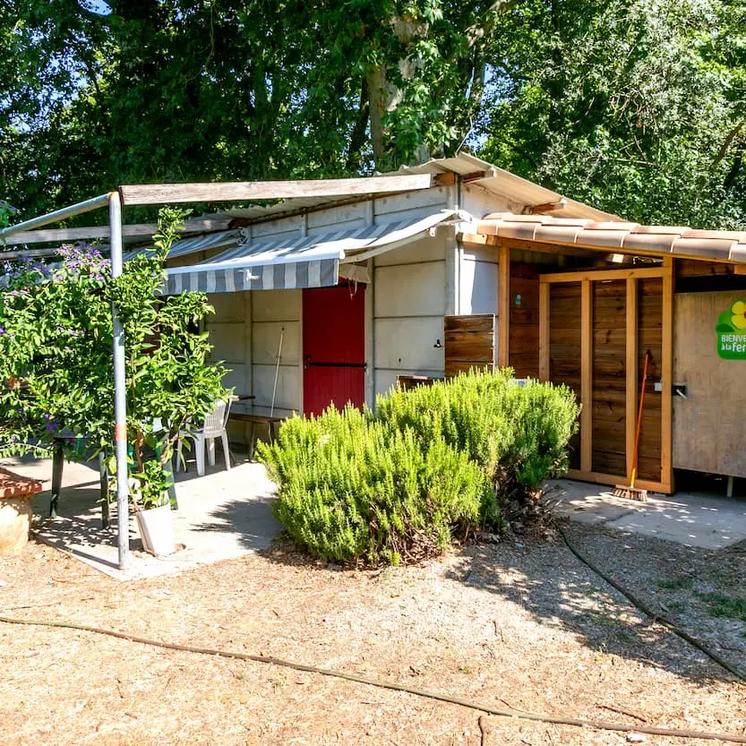 Accueil-camping-mas-saragosse-millas